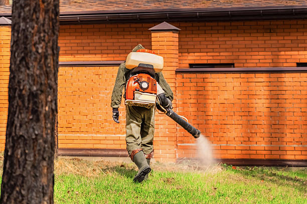 Trusted Termite Control service in Red Bank, SC - Nex Pest Control